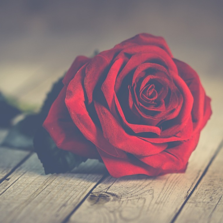 Photo de Micheline WALLEZ NÉE THABOT