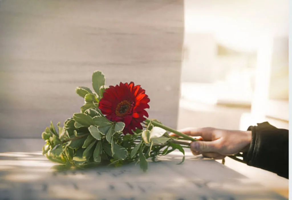 Dépôt d'une fleur rouge sur une pierre tombale en hommage